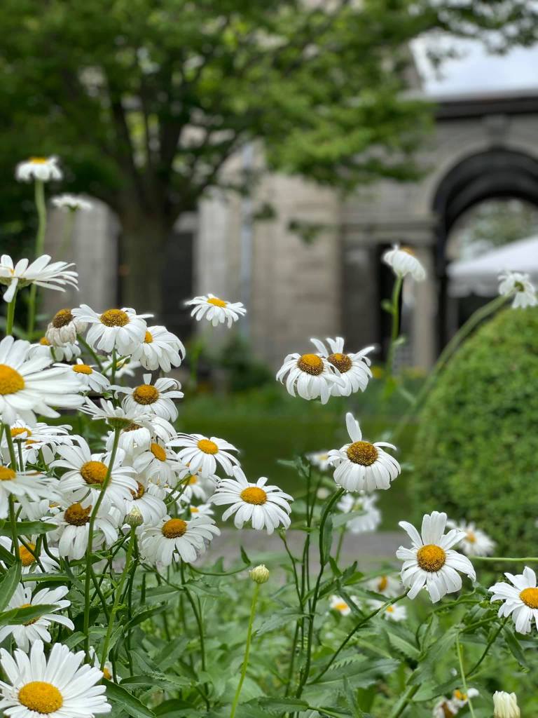 Harkness Memorial State Park