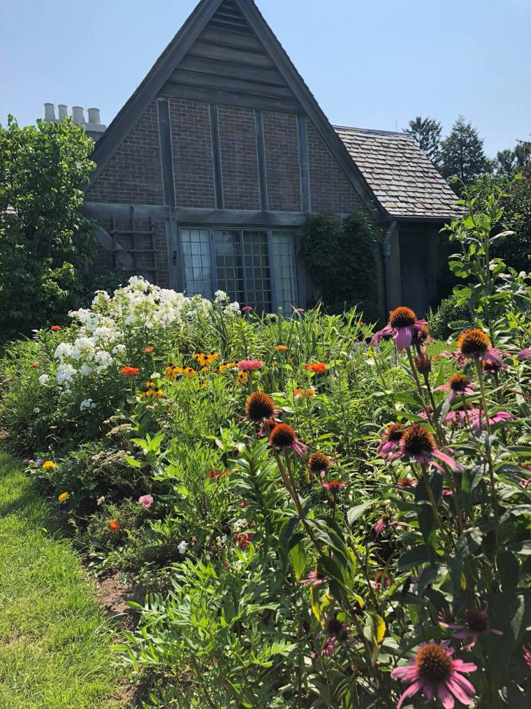 Topsmead State Forest