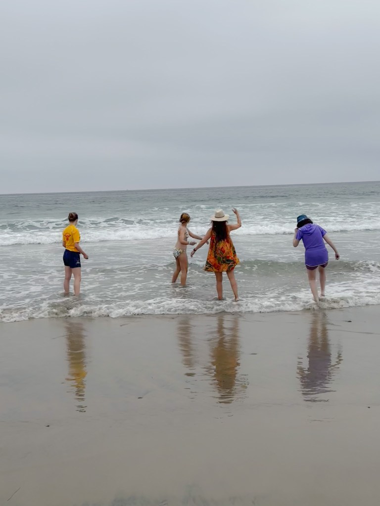 Torrey Pines Beach, San Diego