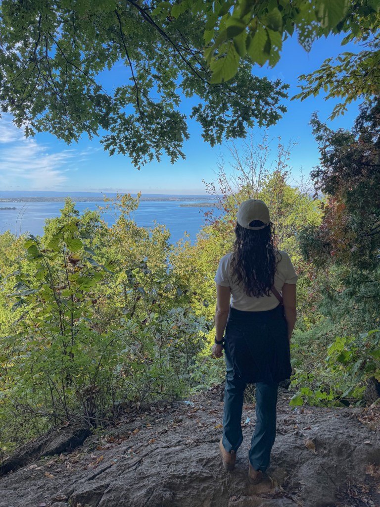 Lookout at Eagle Mountain