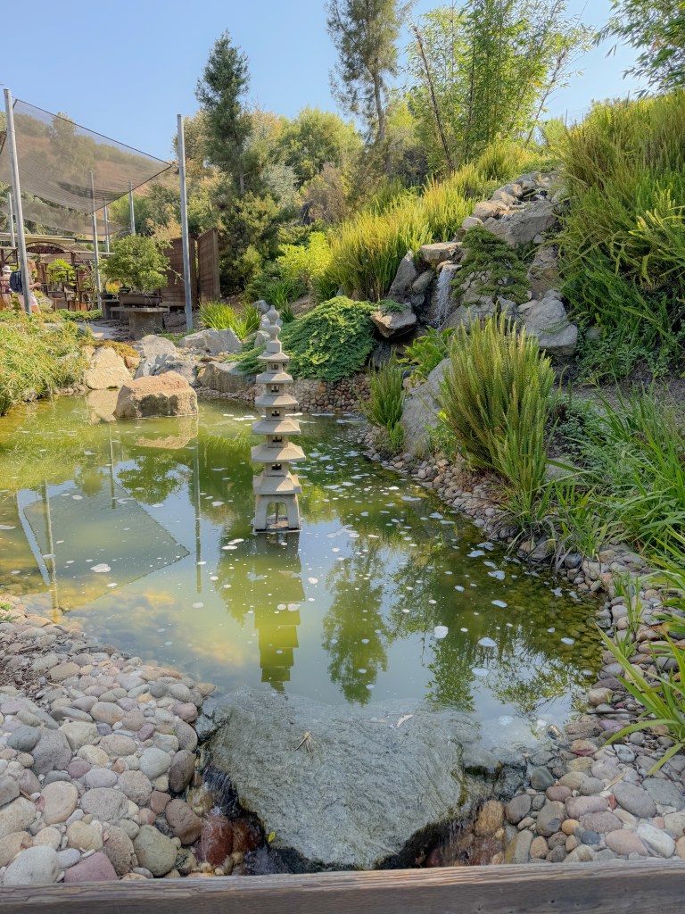 Bonsai Pavilion at SD Safari Park