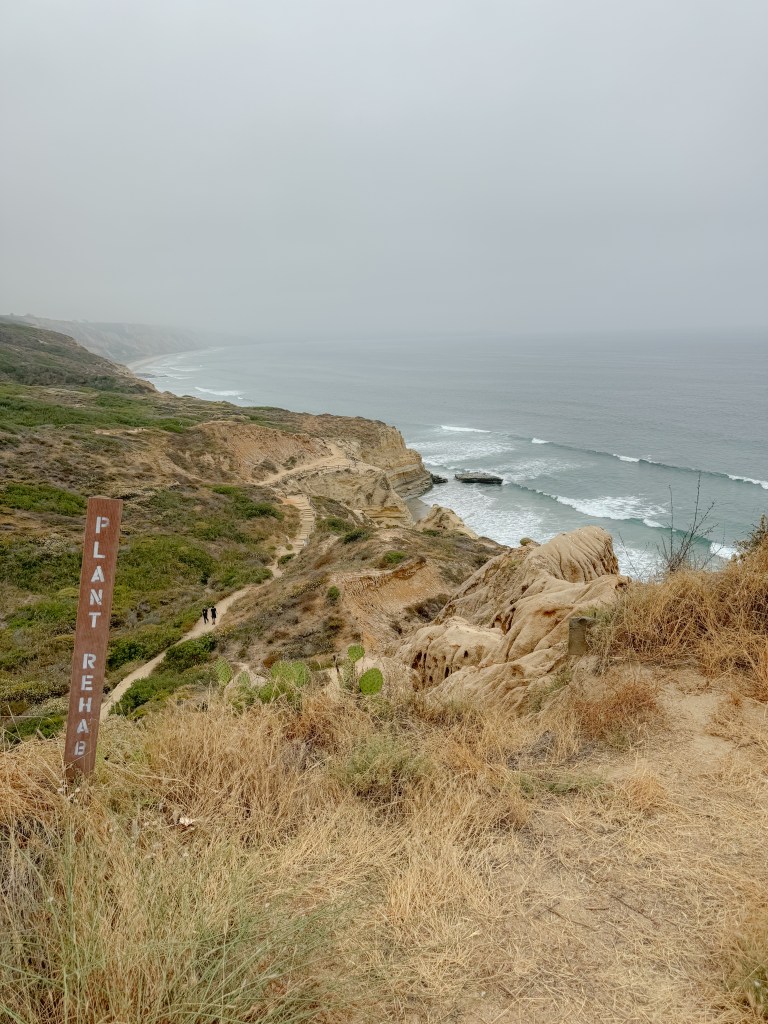 Hiking views at Torrey Pines