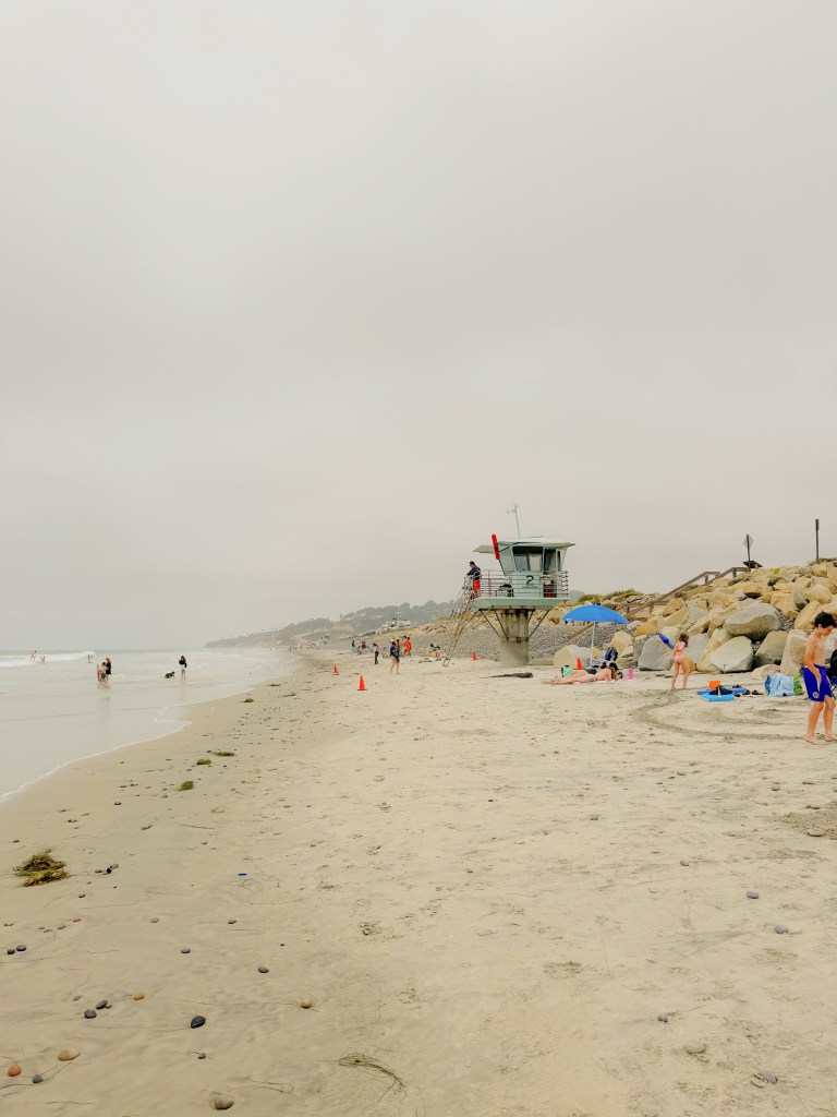 Torrey Pines Beach