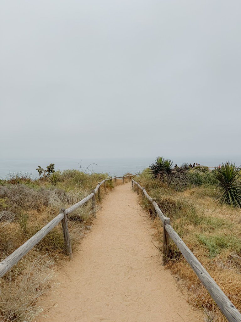 Hiking at Torrey Pines