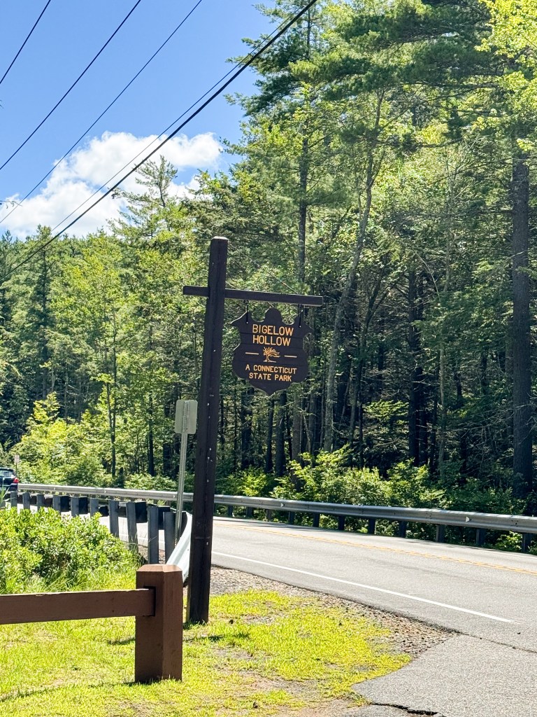 Bigelow Hollow sign