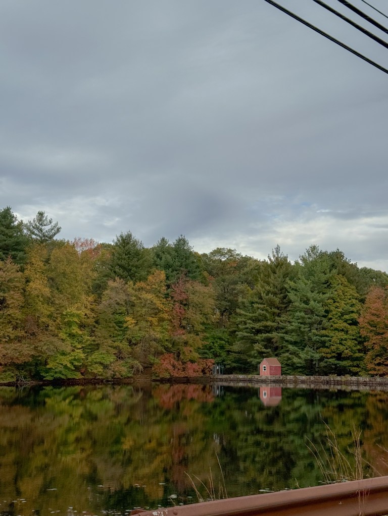 autumn in Shelton, CT